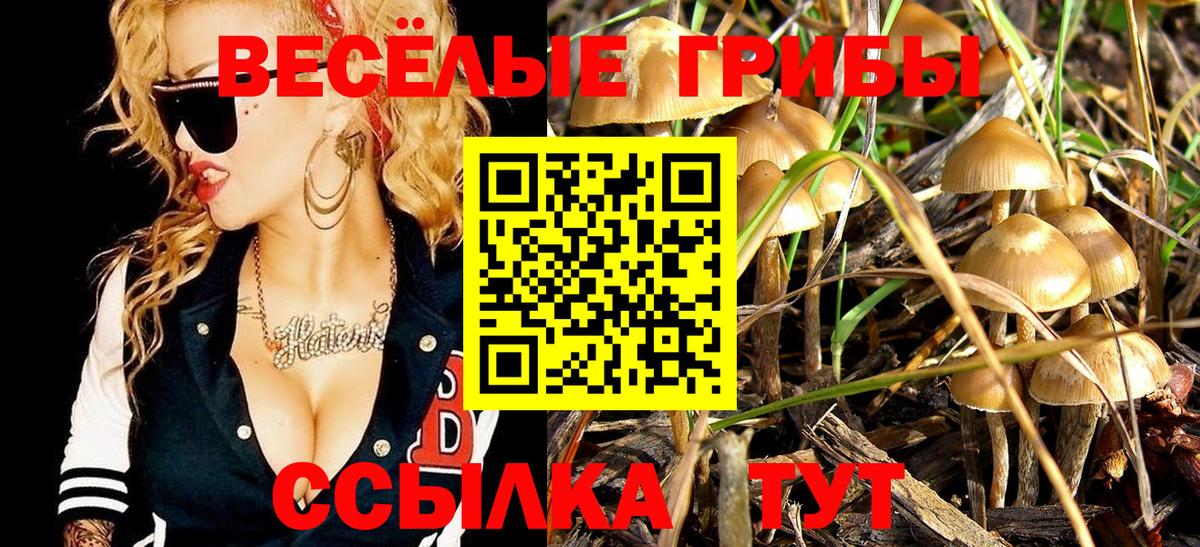 Псилоцибиновые грибы ЛСД Борзя