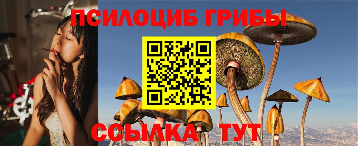 Галлюциногенные грибы ЛСД  Вход с VPN  Борзя 